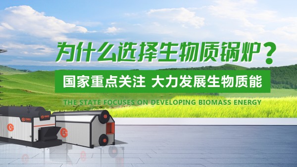 918博天堂生物质锅炉：绿色生长的“时代之选”