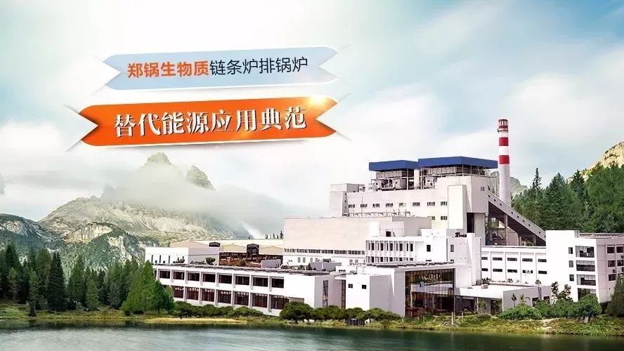 918博天堂领衔体例行业手艺标准，，，，，，，，首次统一生物质链条炉排锅炉手艺条件！