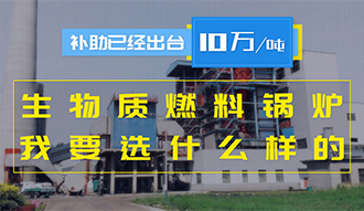【生物质·津贴】生物质燃料锅炉10万元/吨津贴已经出台，，，，，，，，我要选什么样的锅炉？？？？？？？？