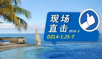 现场直击丨看生物质锅炉在巴厘岛怎样强操作，，，，，，，，转头客非它不选